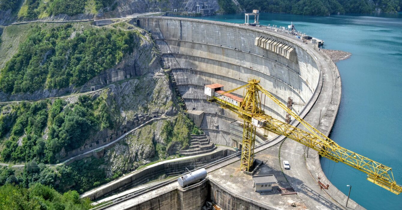 2asmk-dmvew-alex-bagirov1