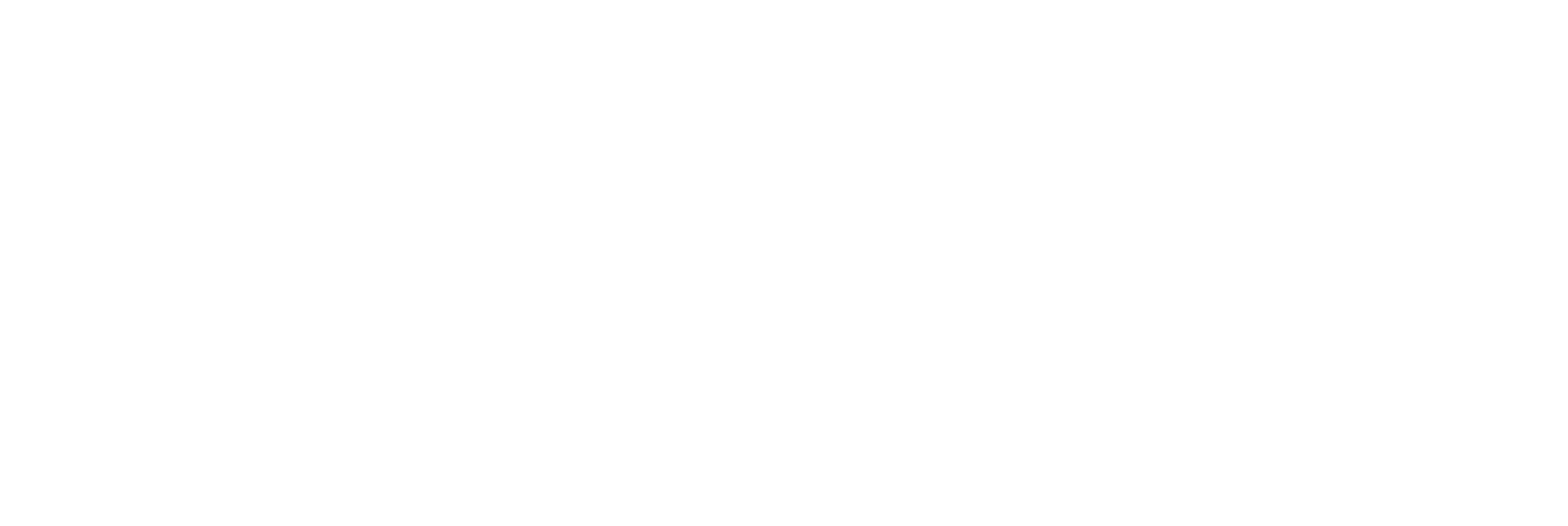 Arch Aerial Drone Services