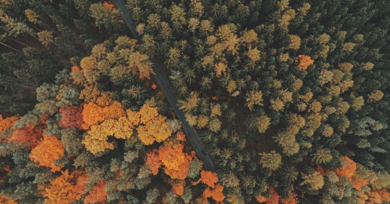 utqjcneofjo-jakub-sejkora1 utqjcneofjo-jakub-sejkora1